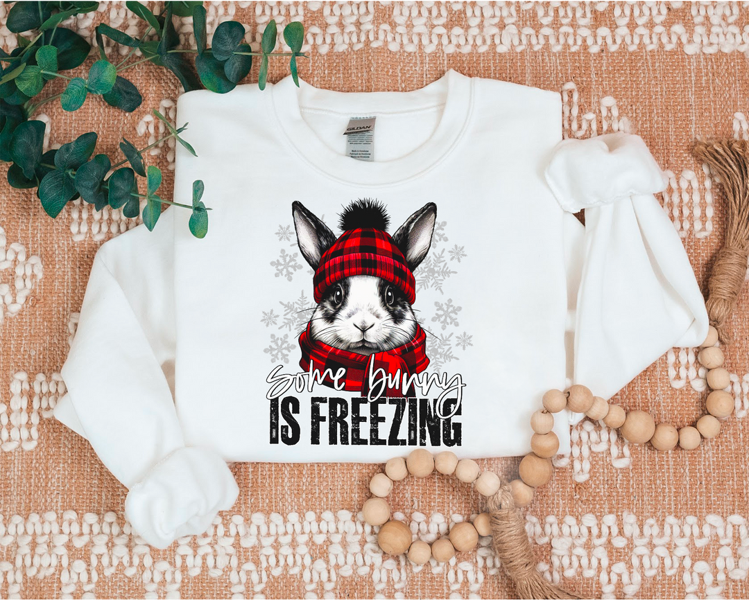 Some Bunny Is Freezing DTF Print