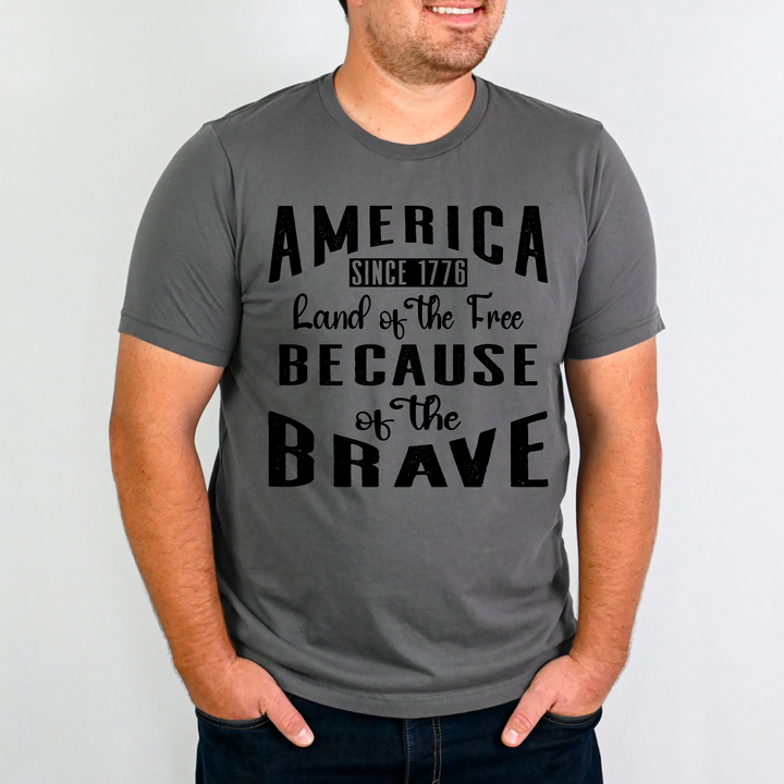 America Land Of The Free Because Of The Brave DTF Print