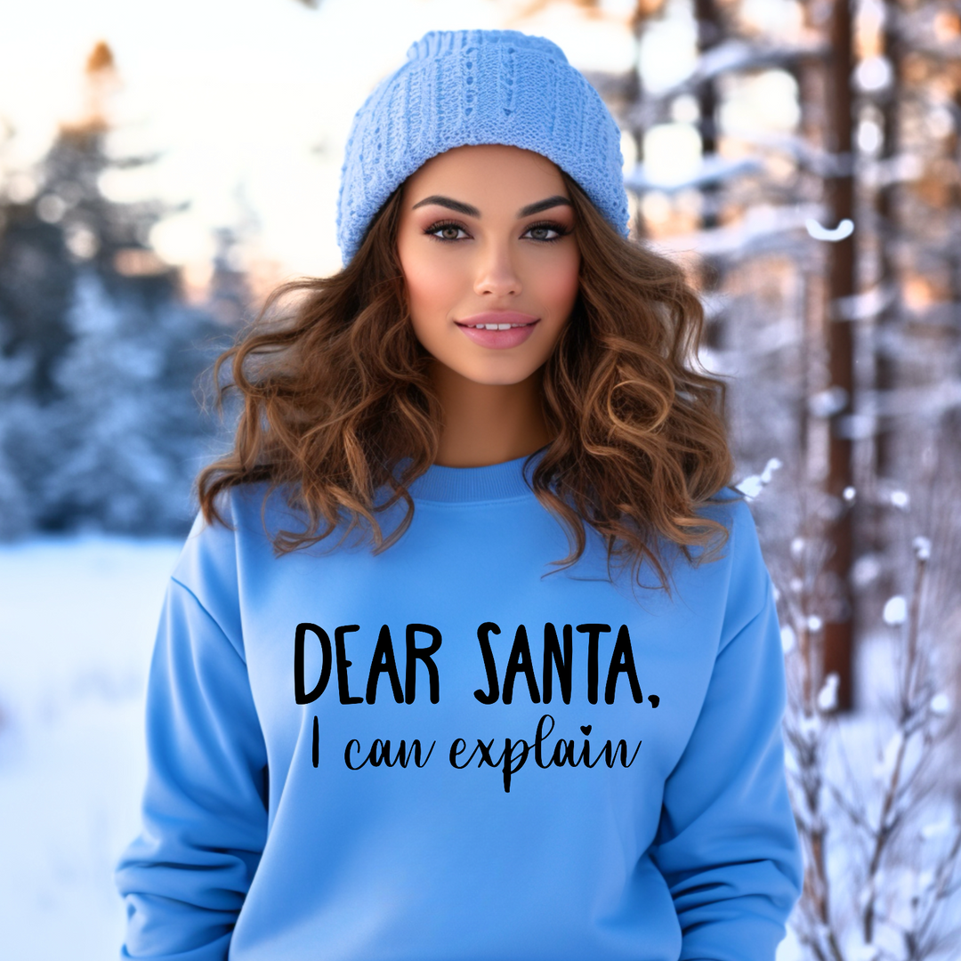 Dear Santa, I Can Explain DTF Print