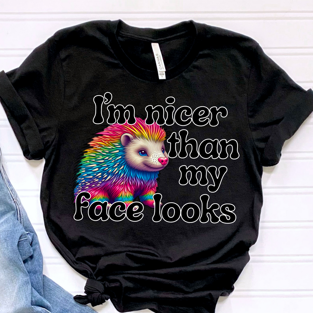 I’m Nicer Than My Face Looks Porcupine DTF Print