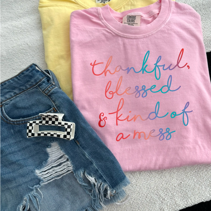 Thankful Blessed & Kind Of A Mess DTF Print