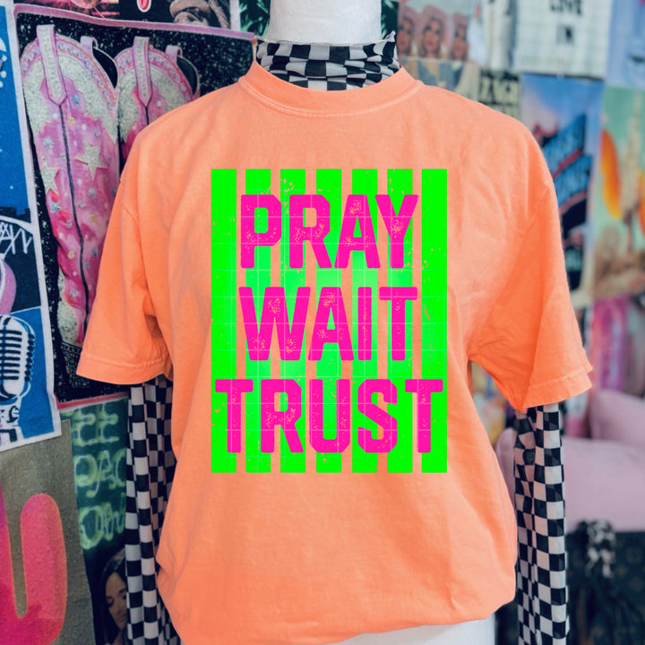 Pray Wait Trust DTF Print