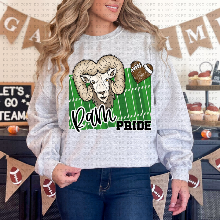 Football Pride DTF Print