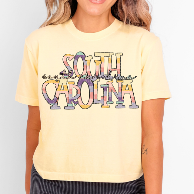 Pastel States DTF Print