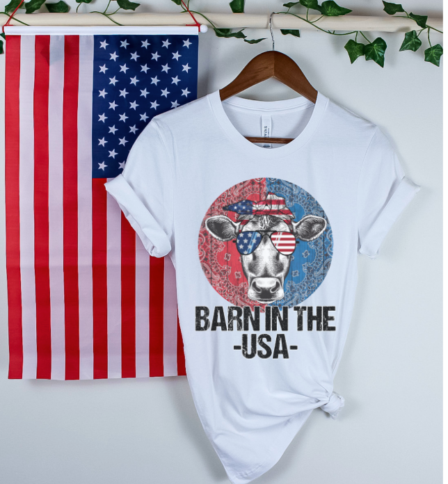 Barn in the USA DTF Print