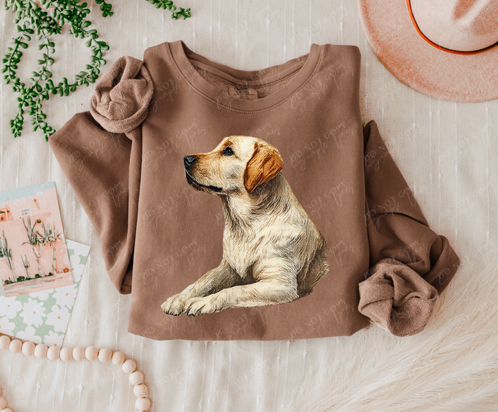 Needlepoint Pets DTF Print