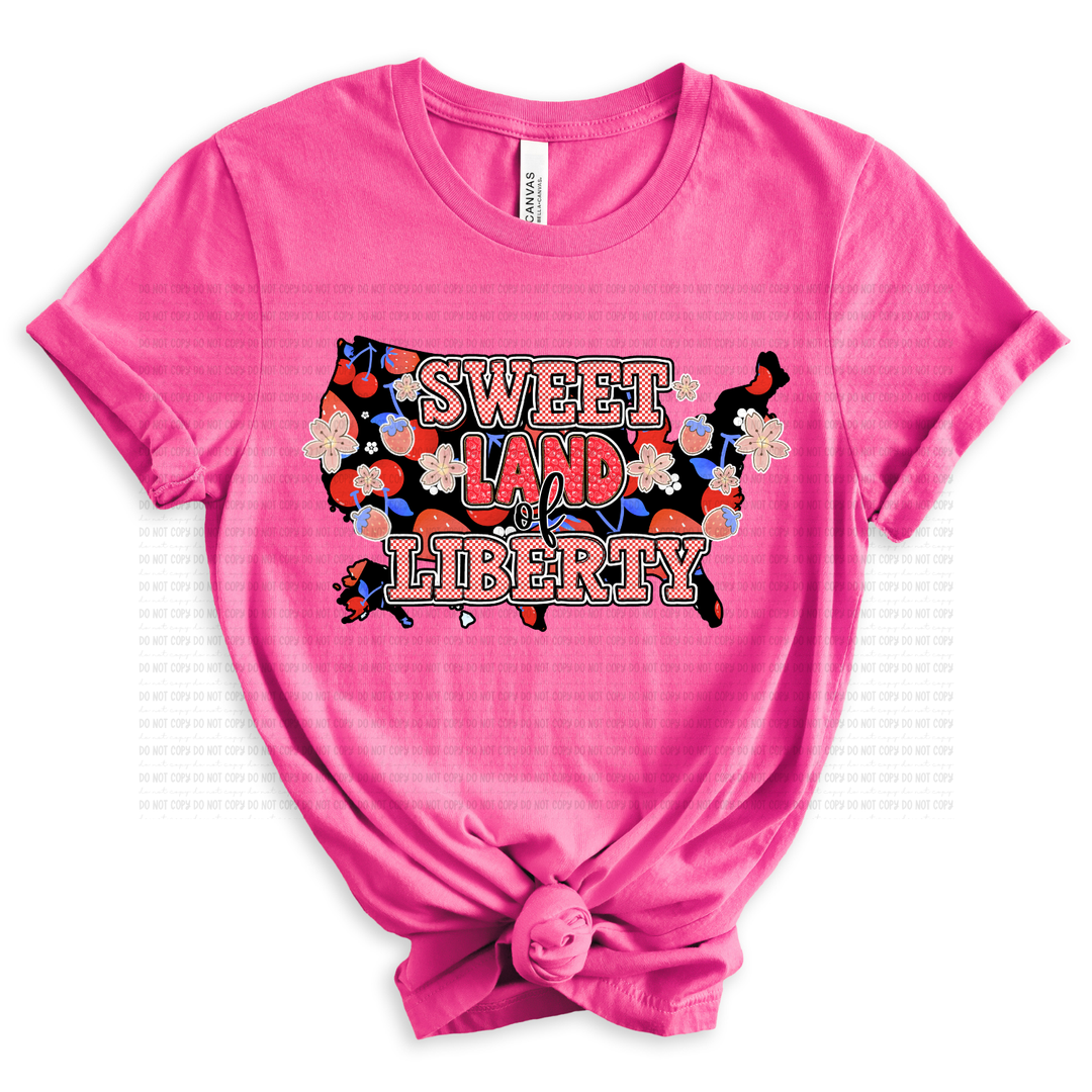 Sweet Land Of Liberty  DTF Print
