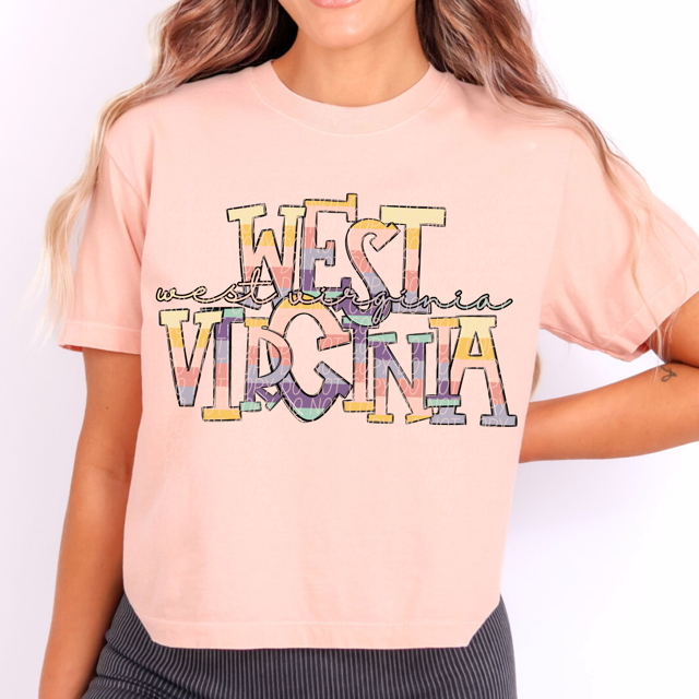 Pastel States DTF Print