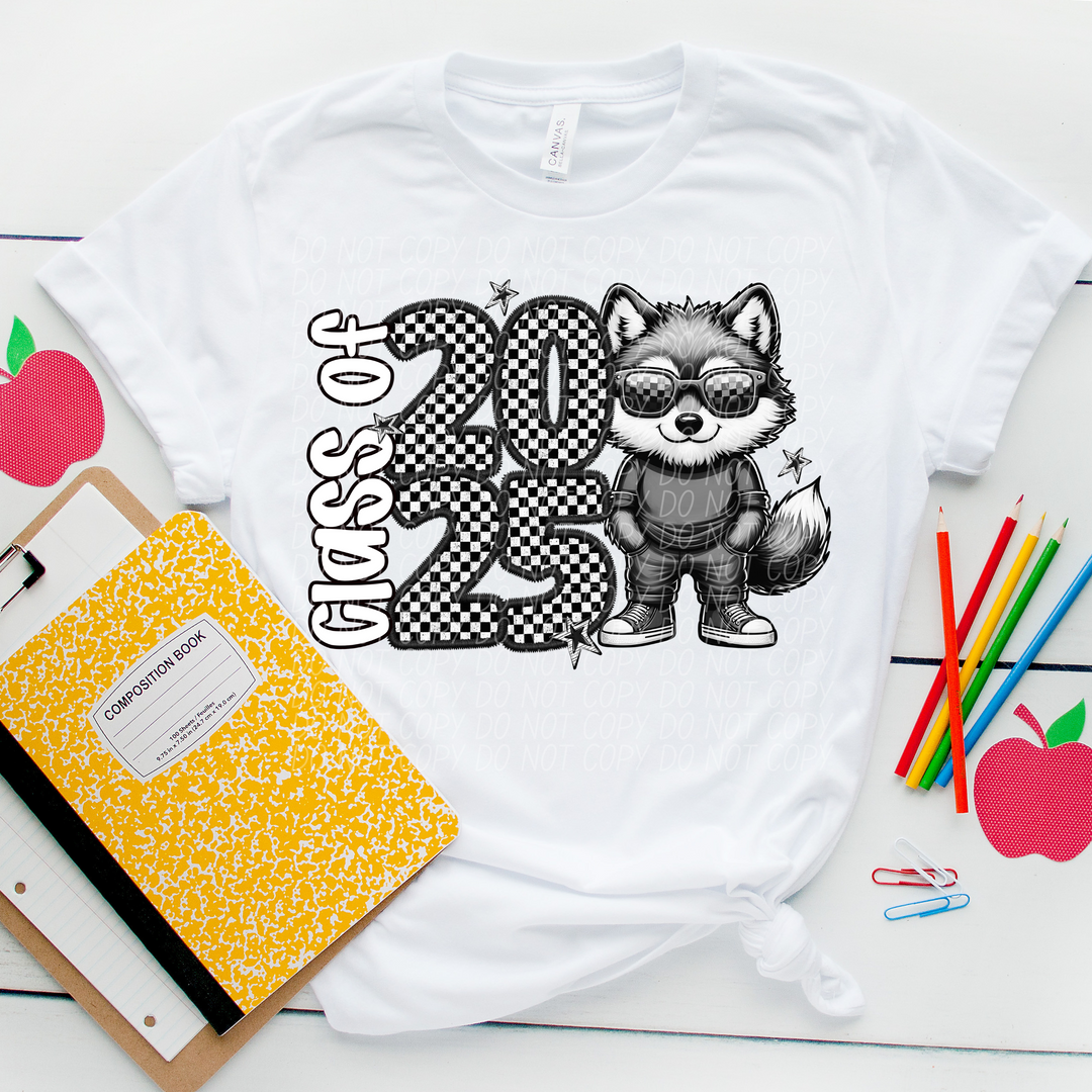 Class Of 2025 Mascots DTF Print