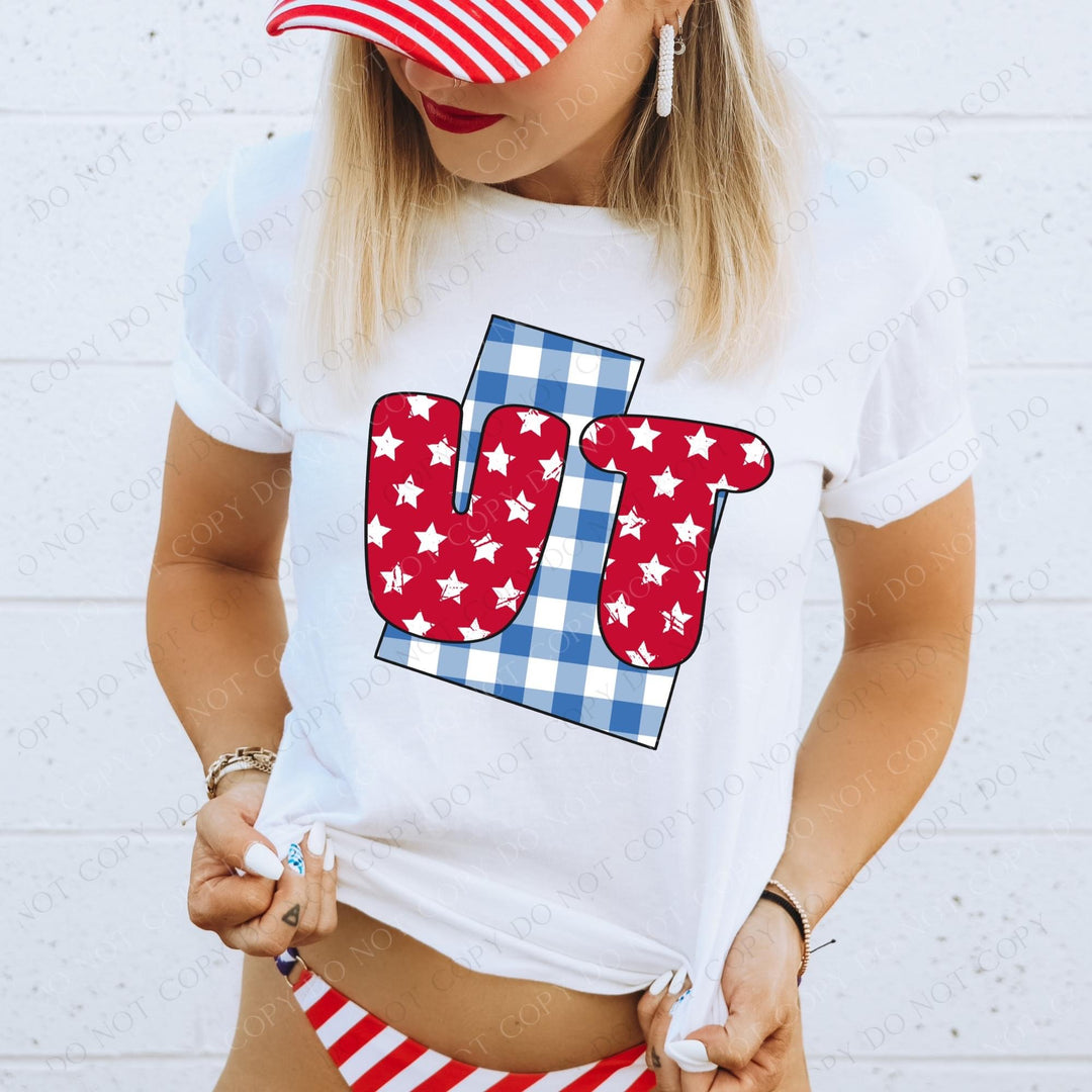 Gingham Stars Red White and Blue State DTF Print