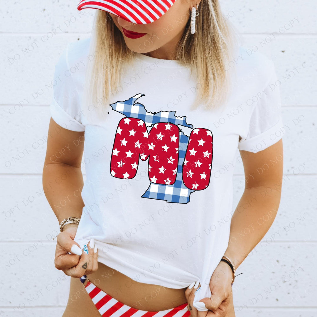 Gingham Stars Red White and Blue State DTF Print