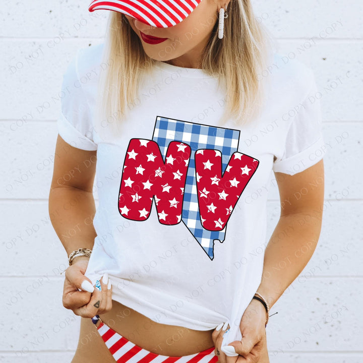 Gingham Stars Red White and Blue State DTF Print