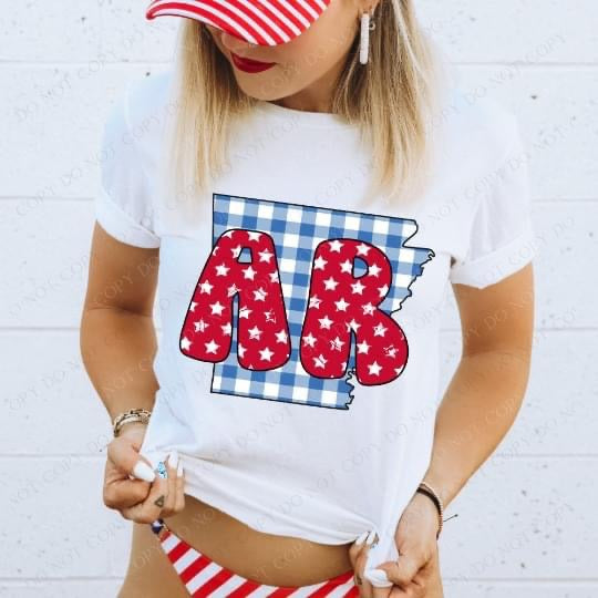 Gingham Stars Red White and Blue State DTF Print