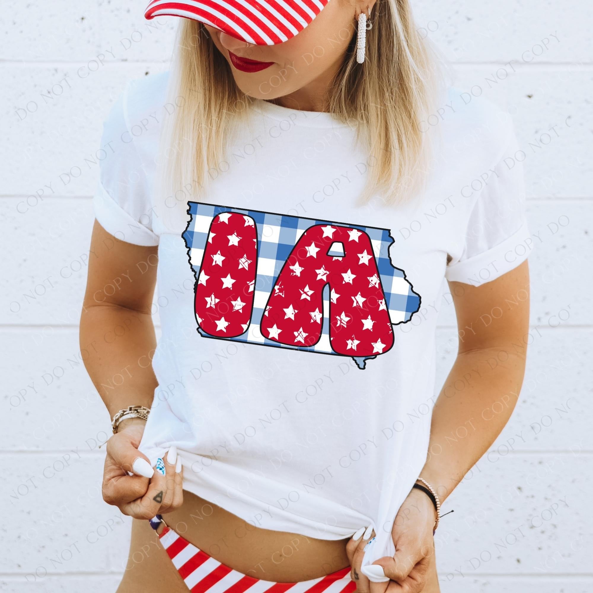 Gingham Stars Red White and Blue State DTF Print