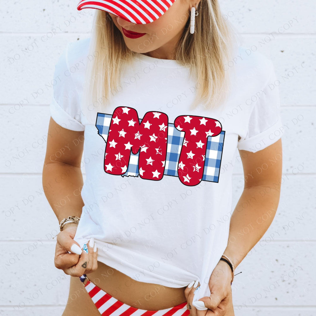 Gingham Stars Red White and Blue State DTF Print