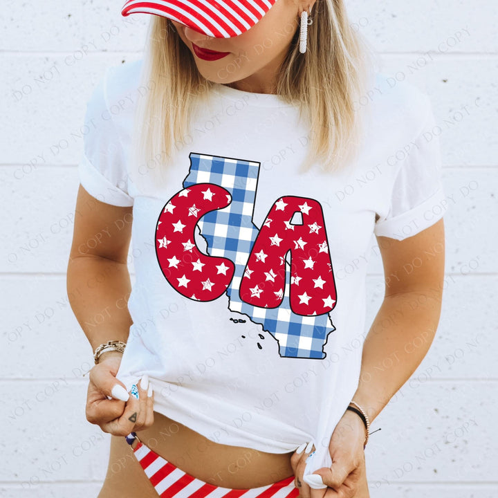 Gingham Stars Red White and Blue State DTF Print