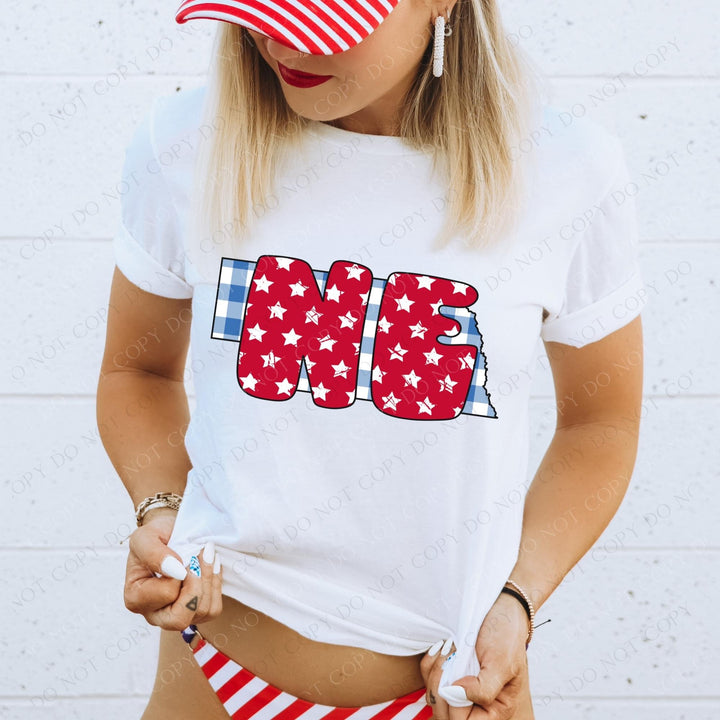 Gingham Stars Red White and Blue State DTF Print