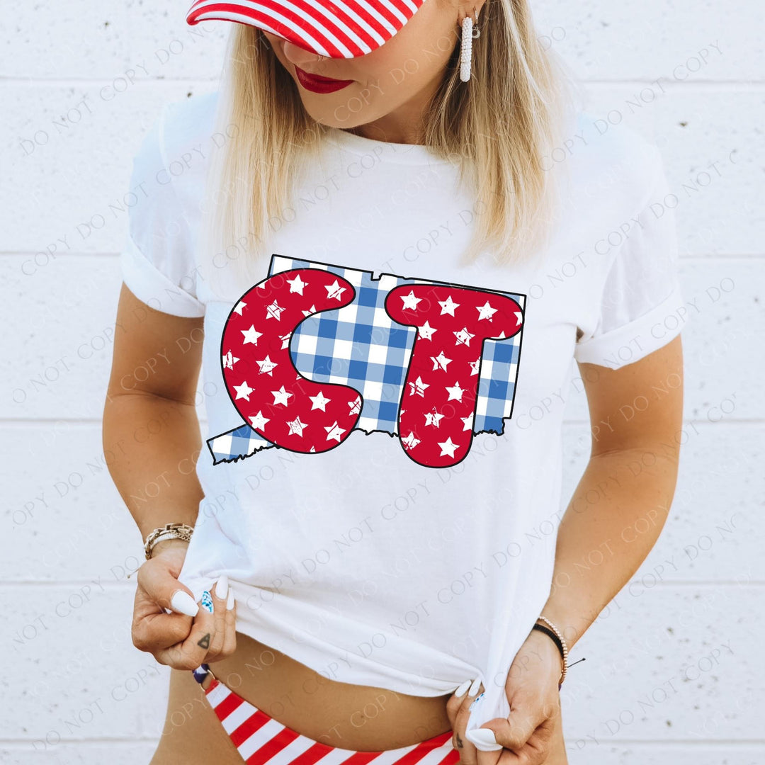 Gingham Stars Red White and Blue State DTF Print