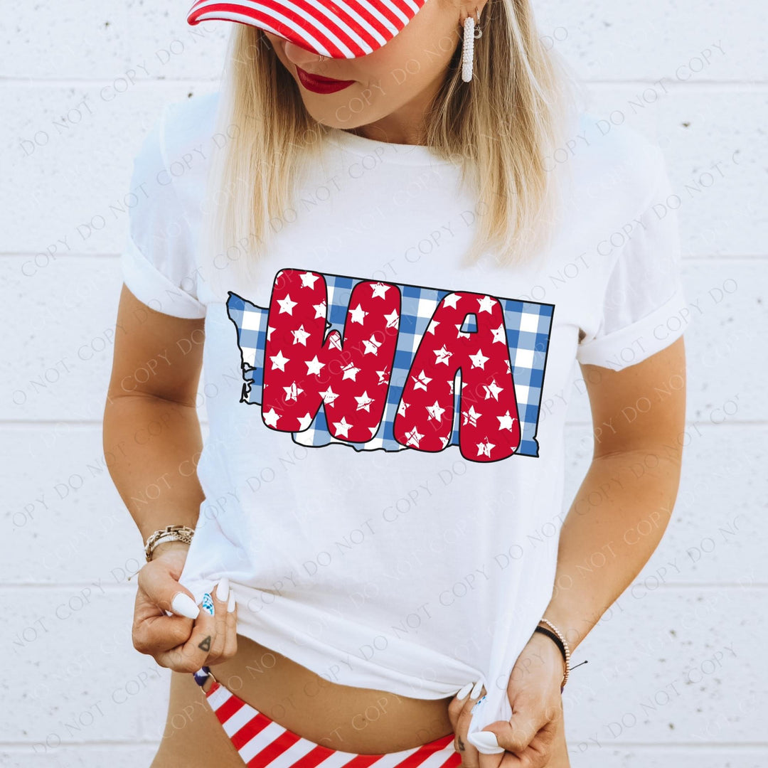 Gingham Stars Red White and Blue State DTF Print