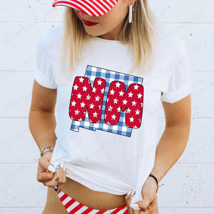 Gingham Stars Red White and Blue State DTF Print