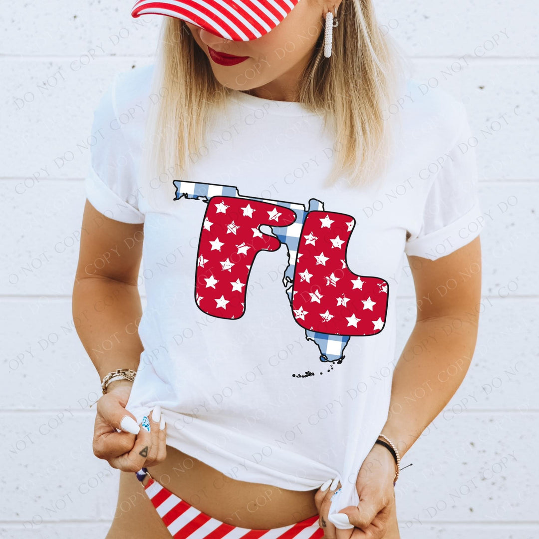 Gingham Stars Red White and Blue State DTF Print