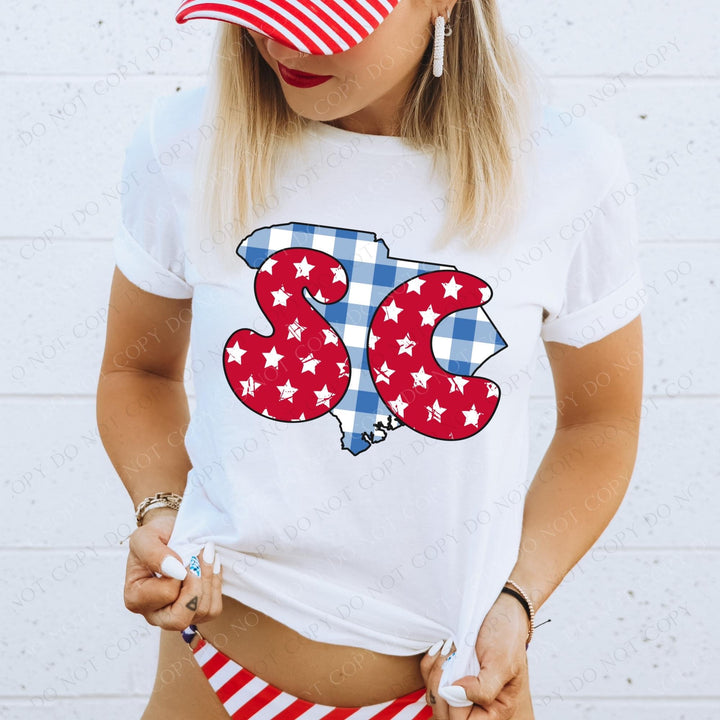 Gingham Stars Red White and Blue State DTF Print