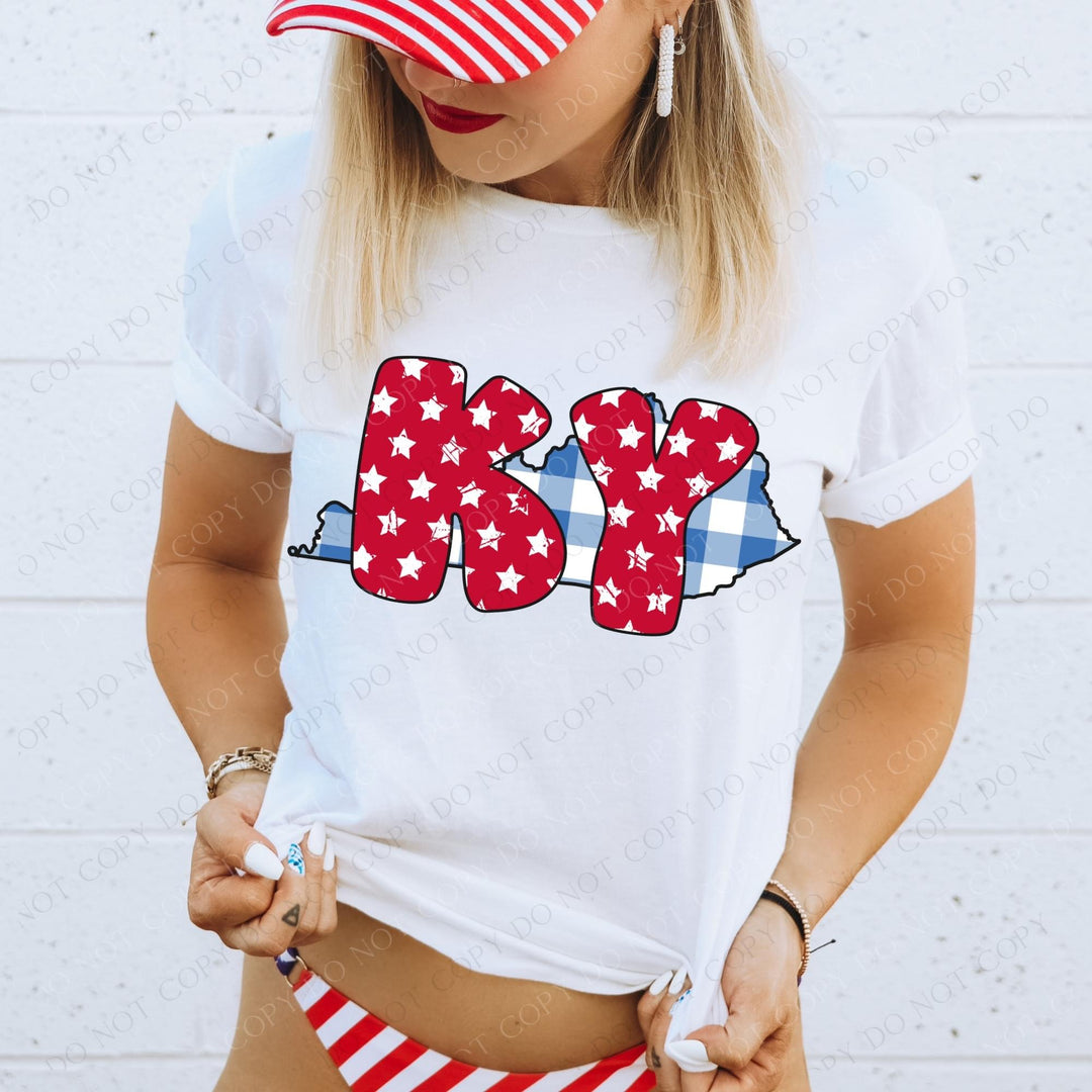 Gingham Stars Red White and Blue State DTF Print