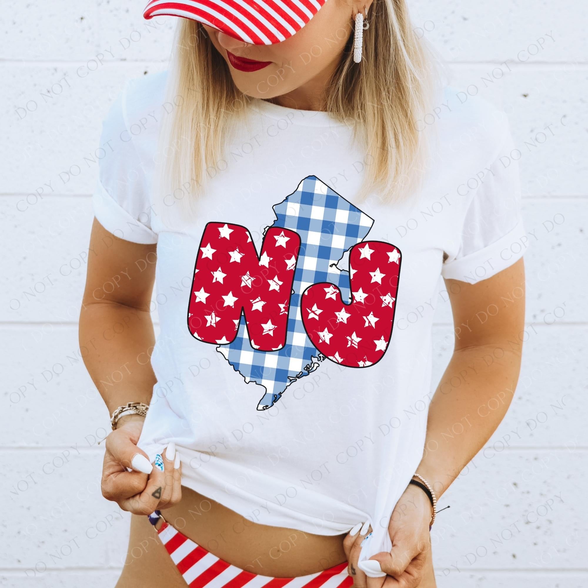 Gingham Stars Red White and Blue State DTF Print