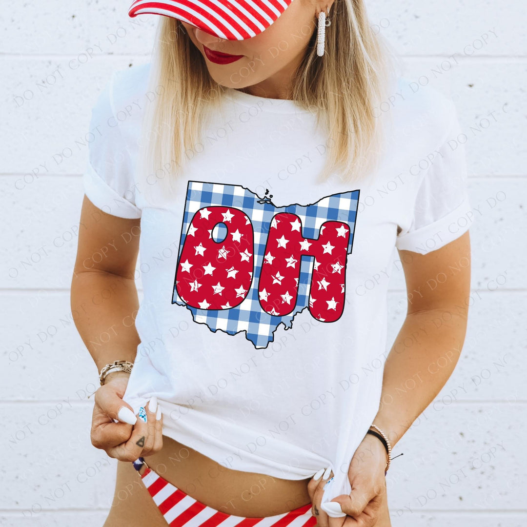 Gingham Stars Red White and Blue State DTF Print