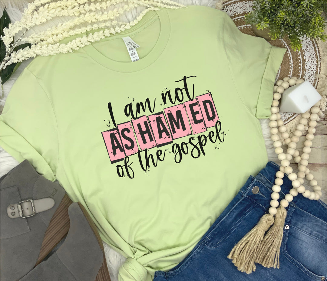 I Am Not Ashamed of the Gospel Screen Print V62